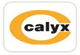 calyx